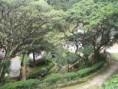 /album/imoveis-em-destaque/p2281182-jpg/